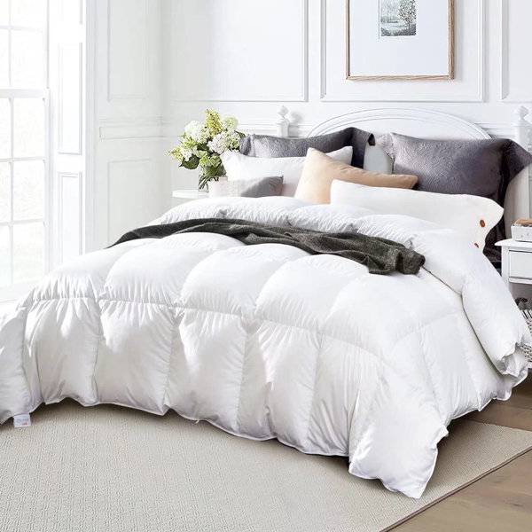 Ebern Designs King 650In³/Oz Fill Power All Season Goose Down Comforter